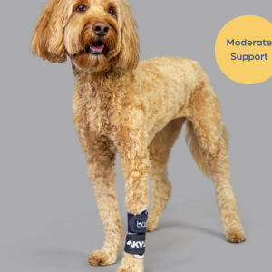Balto® Joint Dog Carpal Compression Band - Moderate Support with Removable Splints