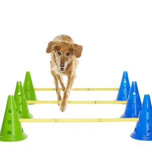 FitPaws Agility Kit