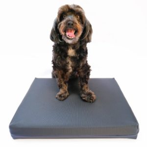 FitPaws Balance Pad Grip Cover for Dogs - Anti-Slip Cover for Extra Grip & Protection