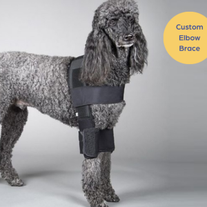DogLeggs Double Elbow Cover - Great for Protecting Elbow Hygromas, Pressure Sores and Similar