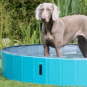 Dog Pool - Safe, Durable, Fun And Cooling For Your Dog