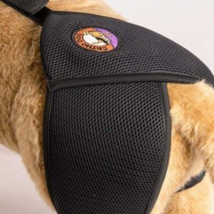 Orthodog Dog Hip Brace
