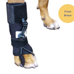 Walkin’ Anti-Knuckling Training Dog Sock (single sock)
