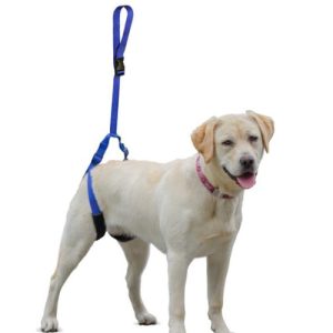 Walkin’ Bottoms Up Dog Leash (Rear Support Lead)