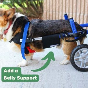Belly Support - Give Your Dog Extra Back Support (Walkin Wheelchairs)