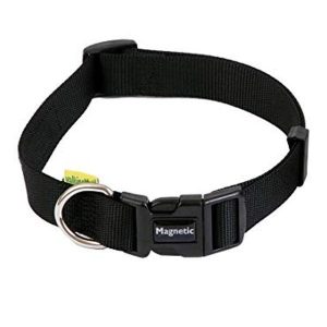 Magnetic Dog Collar